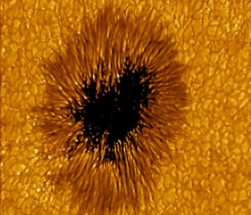 �������, ������� ������ � ������ ����: ������������ ����������, �� ������ ������, ����