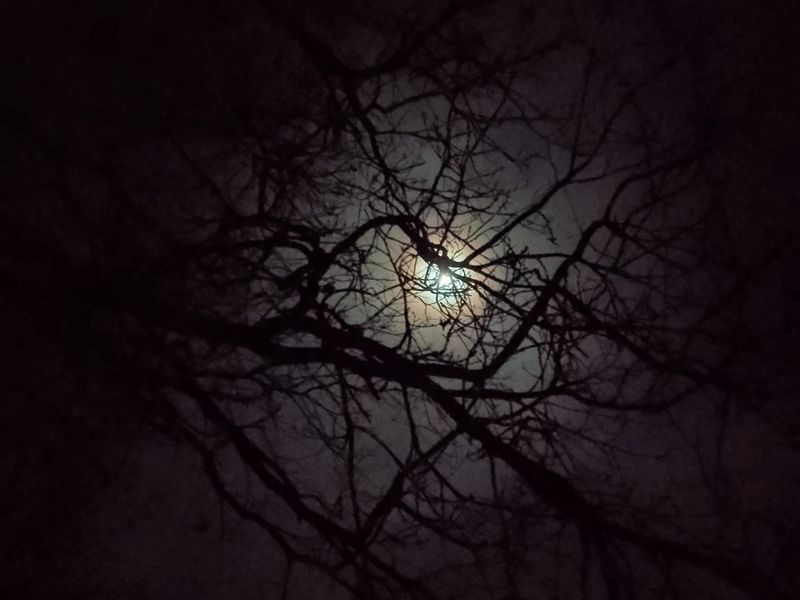 ��������� ���� ����� �������� ����� ��������� �����