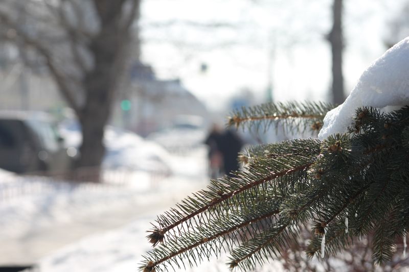 ������� ���� ��������� �������� ���� � �������� - �����