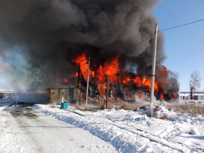 ���� ������ ���������: ��������� ����������� ���������� ������ � ���������� ������