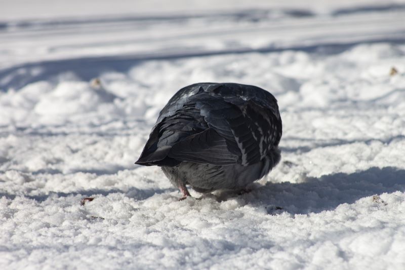 ��������� ������� ���������� �������������� � ������ �� �������