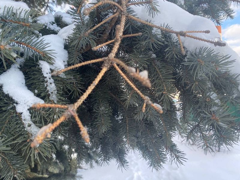 �� ����� �������� ����� ������, �� ���� ������ ���������� � �������