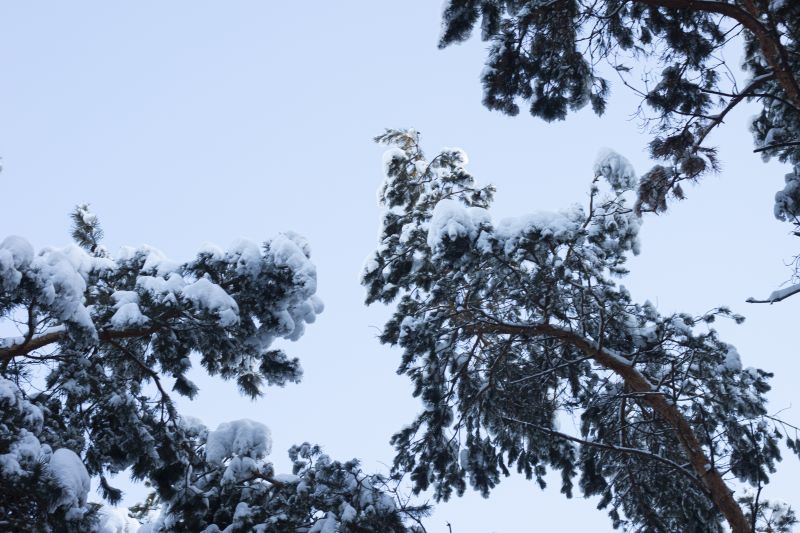 � ��������� ������� ��������� ��������� ����� ����