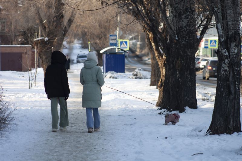 � ��������� ������� �������� ����� ������� ���������