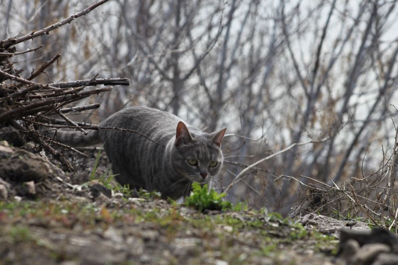 � �������� ����� � ������� �������� ���������