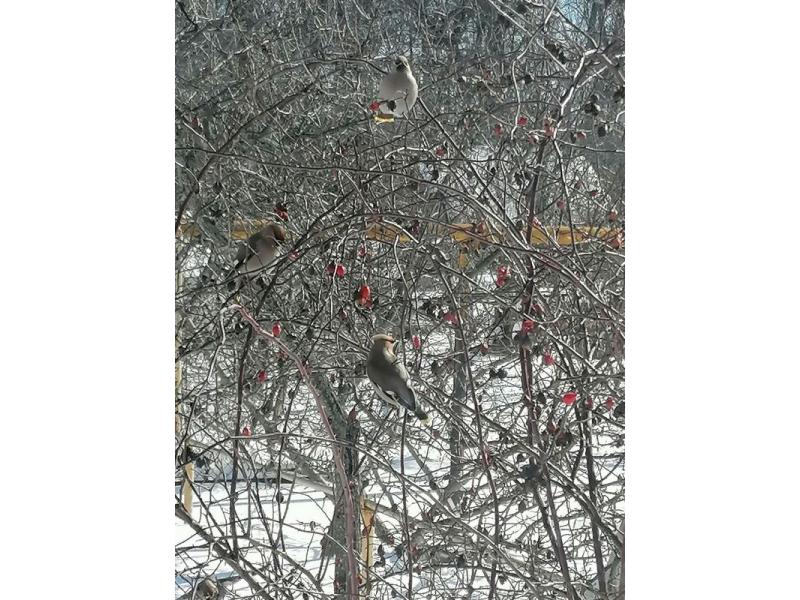 ������� ����� ���������� ���� �� ������ ������� �� ��������� �������: ���-�� ���������