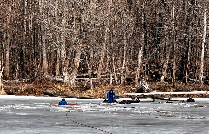 ��-������� �� �������: � ������ ��� ������� ����������� ���, ��� ���� �� �������