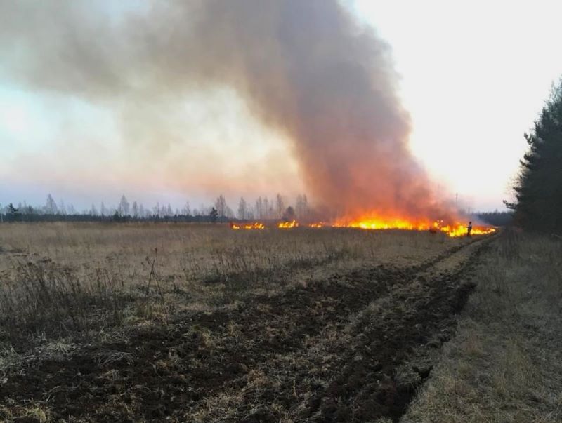 ��� ��������, ����� �������, ��������-��������� ��� ���� �������� � ������� ������