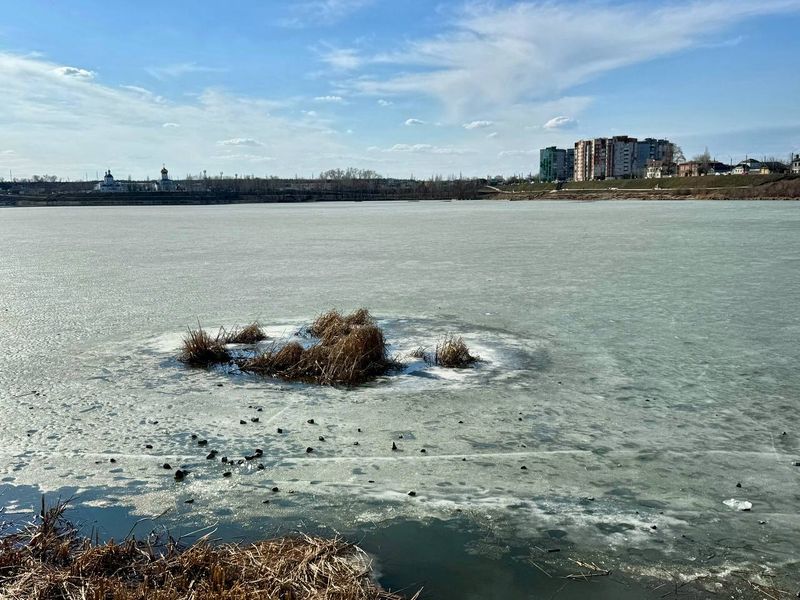 � ��������� ������� ���� ����� � ������