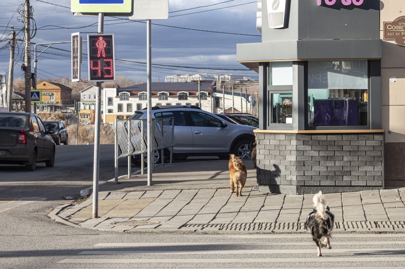 ������������� ���������, ��� �� ���������� ������� � ���� ��������