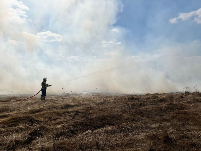 ����� �������, �������� �����, ������: ���������� ������ �� ���� �������� ���������� �������