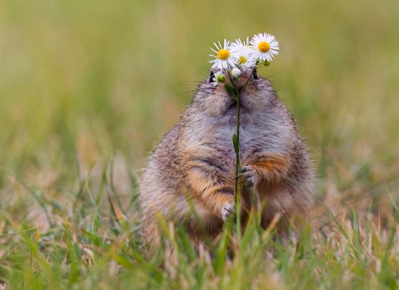 ������ � �������� �������� �������� ������� ������� � ���������� ��������� ������