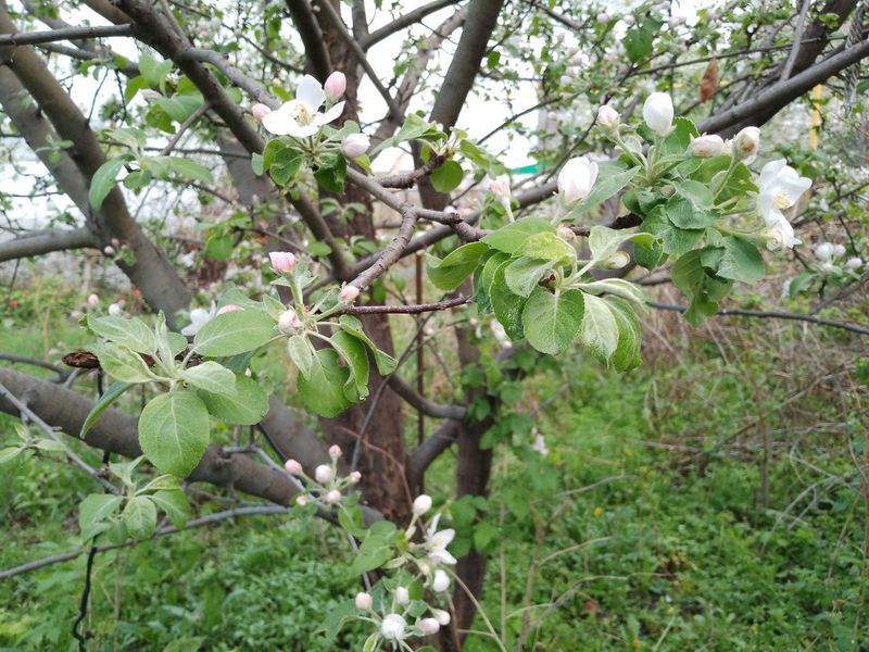 ������ � ������� - �� ���������, �� �����, ��� � �������