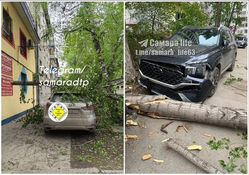 ����� � ������ ����� ������� �� ����������, �� � ���� � ������� �������� ��������� ������������