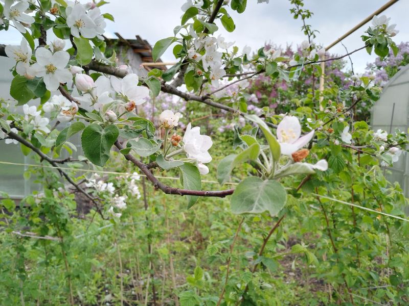 � ��������� ������� �������� ��������� ������� ���������