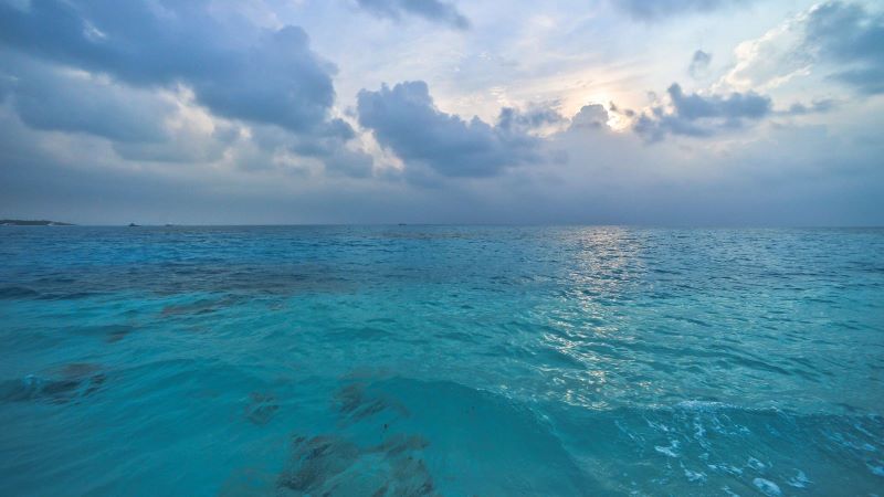 ��������� � ������� 53 ����, ������� �������-482� ����� � ������ � ���� � �����