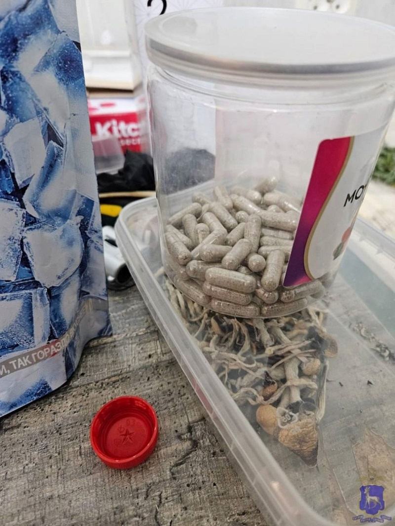 �� �� ������� ������ ������ �������� - ��� ����� ��������� � ��������������