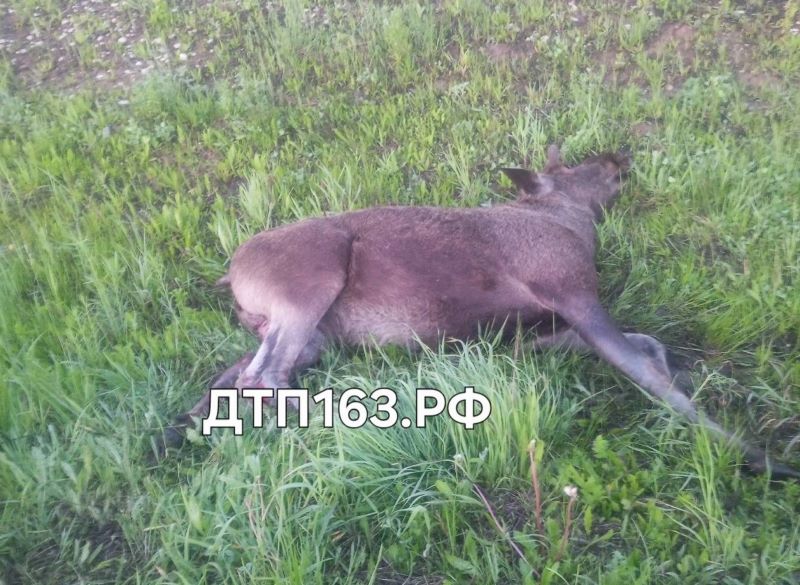 � ��������� ������� �������� ���������� JAC ���� ����