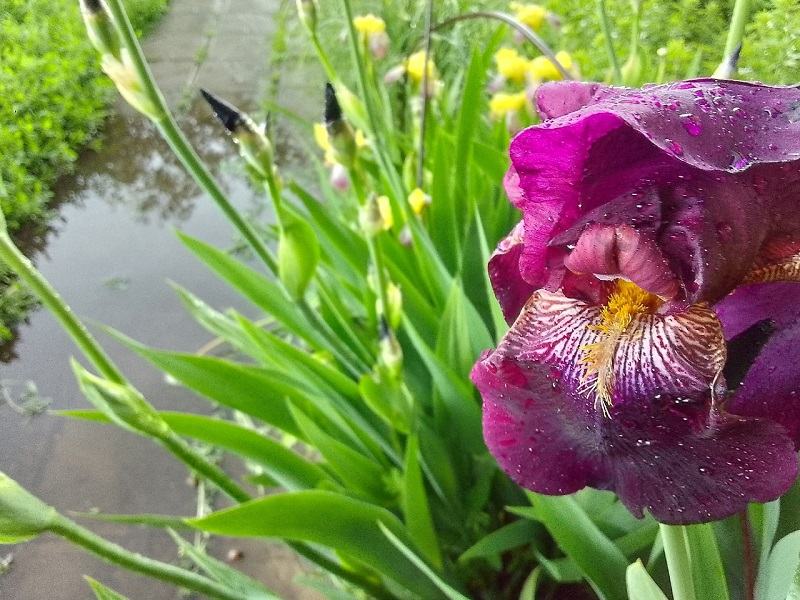 ������� ��������� � �������� - ������� ������ � ���� �������������� � ��������� ���