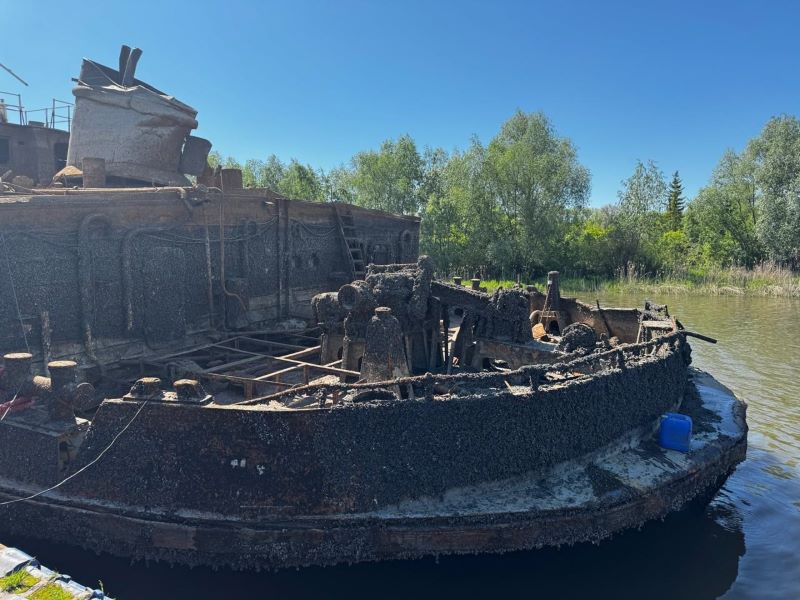 ���������� 14 ��� ����� �������� ������ ������� �� ��� ������������� �������������