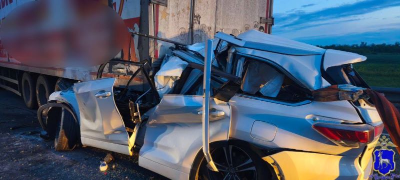 ����������� ������: ����� �� ������ � ��������� ������� Toyota ���������� � �������� Ford