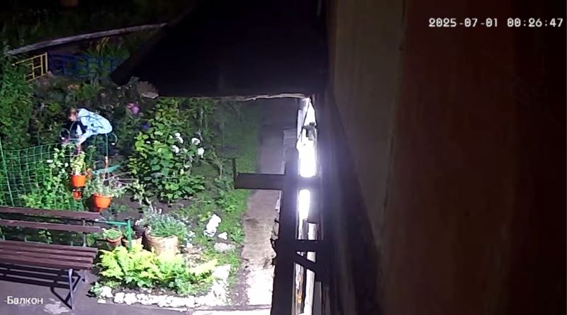 ������� ����� � ������� ���: ���������� ������� ��������� ���������� ������