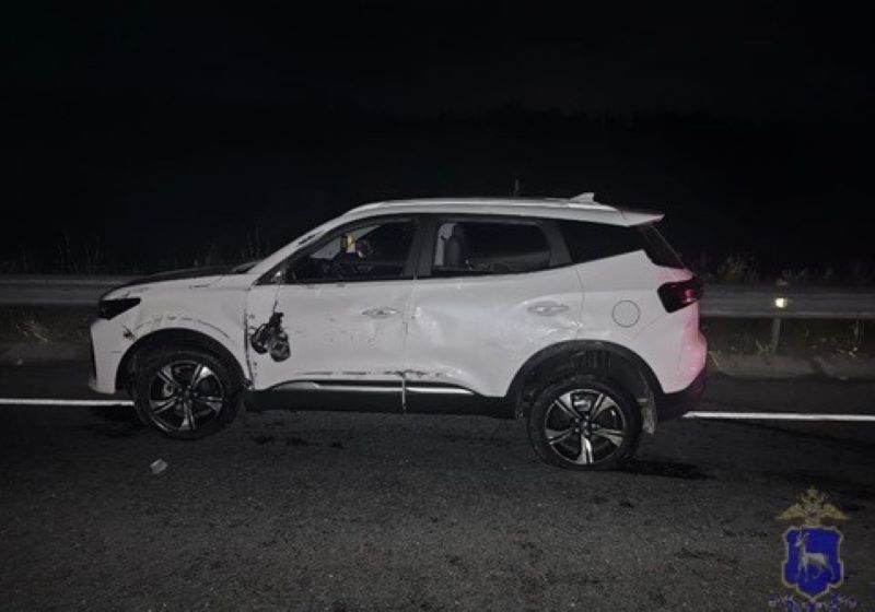 � ���������� ������ �������� �������� ������ � ��������