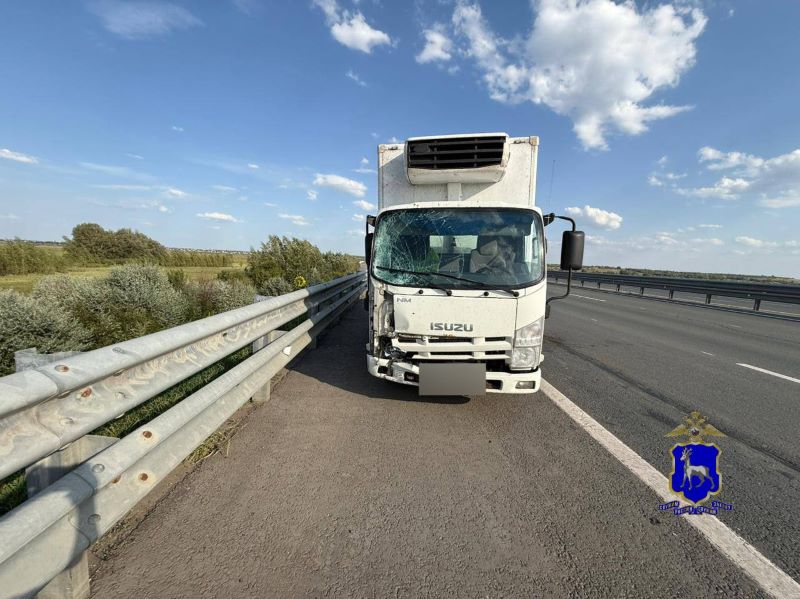 � ��������� ������� ���������� �������� ������� ��������������