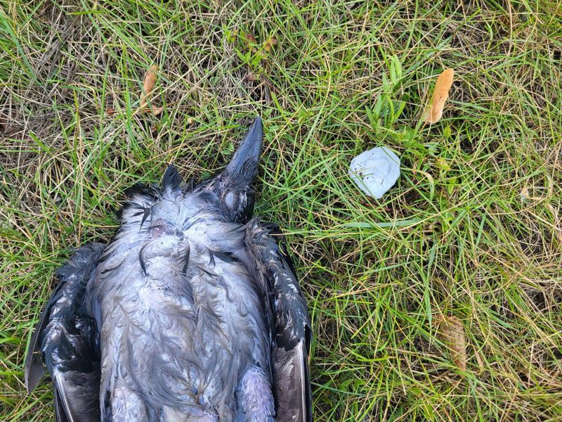 �� ��� ������ ���� ����� ������!� � ������� �������� ���������� �� �������� � ����������� ������ ����� �����������