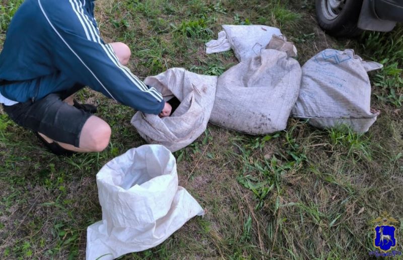 � ��������� ������� ����� ����� ������� ���������� ����� 1550 �����