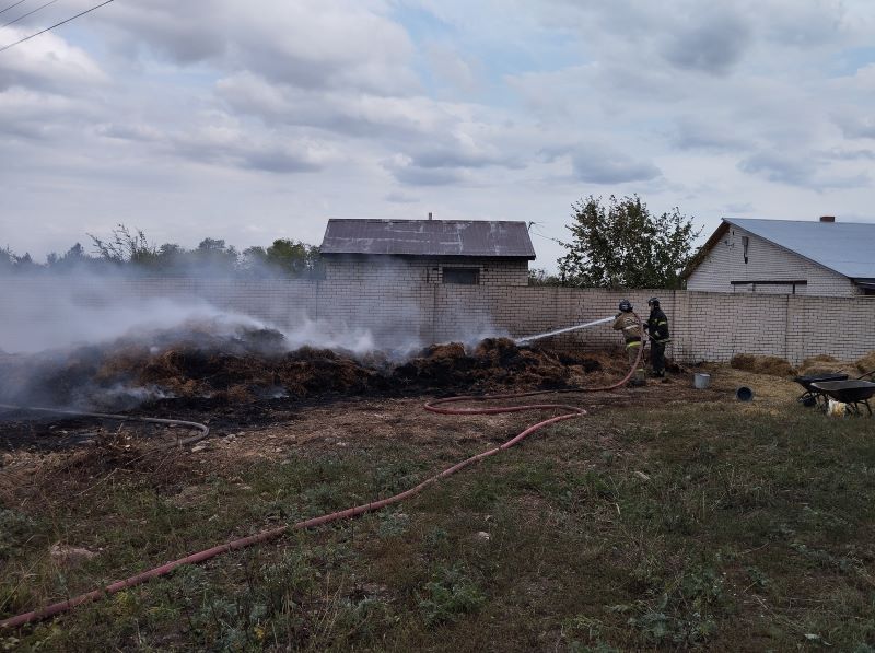 � ���������� ������ ������� ����� ���� ��������������� ����