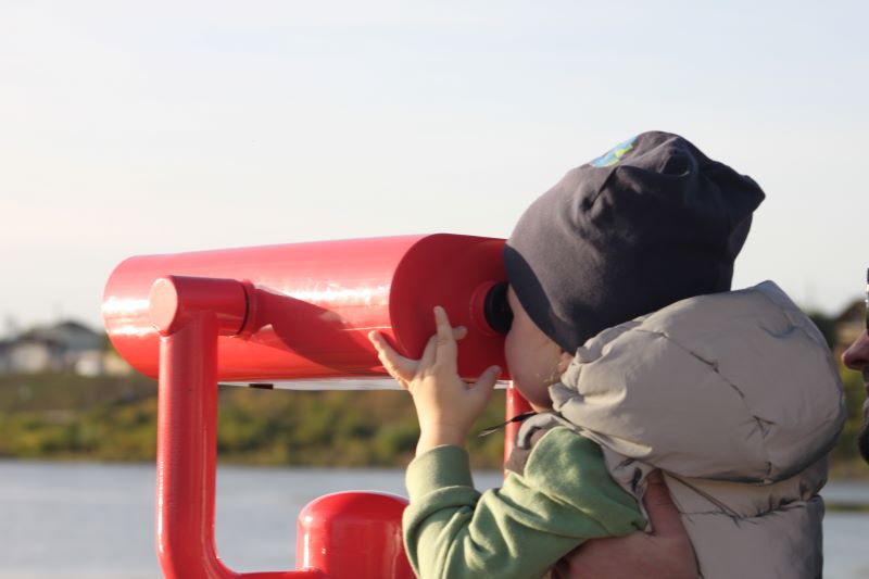 ����� �� ��������� ������� ������ � ���������