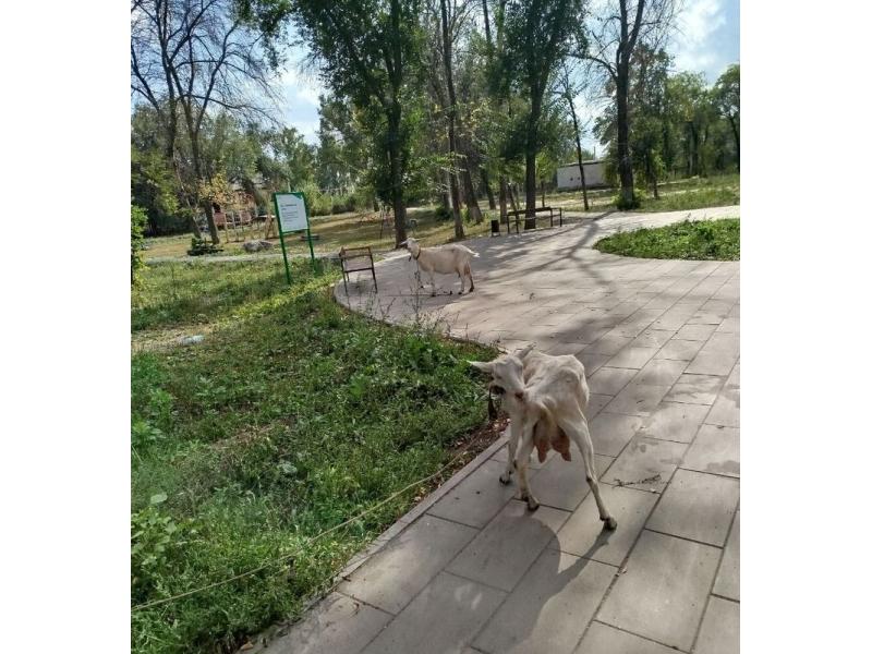 � ���, ��� ����� ����? � ������� ����� ���������� ������������� ���� � ������ ��������