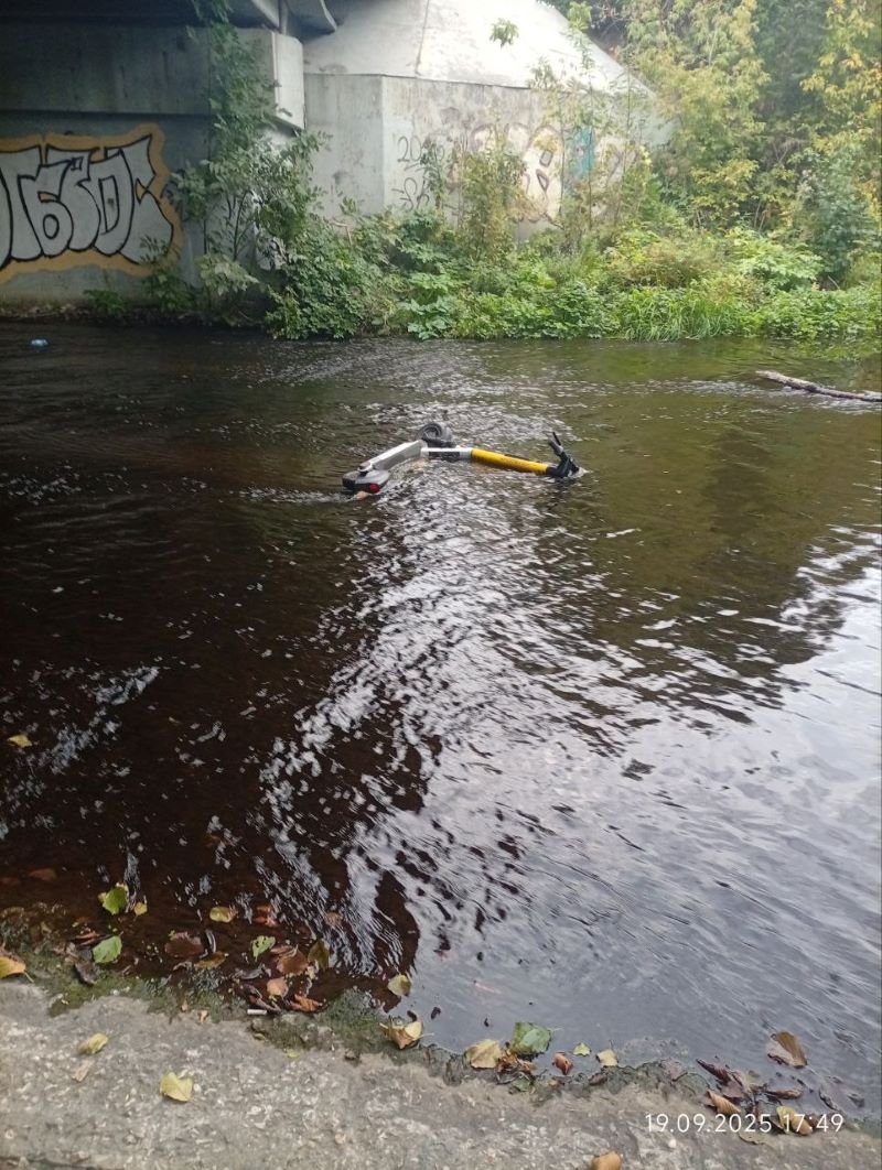 ���-�� ��������: �������� � ������� ������� ������� ����� �������