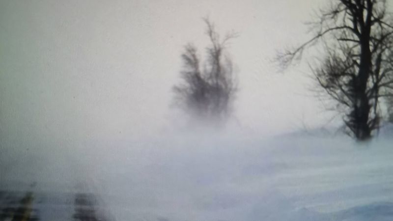 ����������� ���� ����� ��� �� ������ ������ ����� ���� �������� ��������