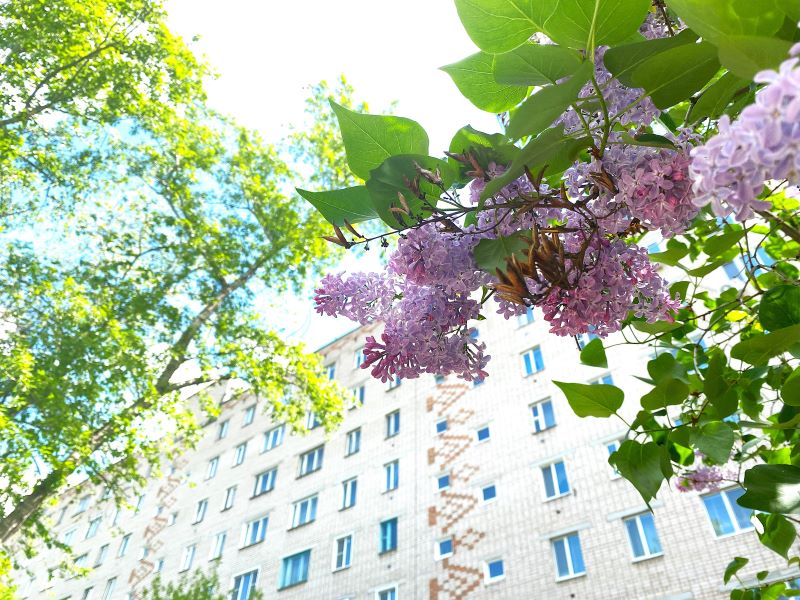 ��������� ������� ������� ����� � ����