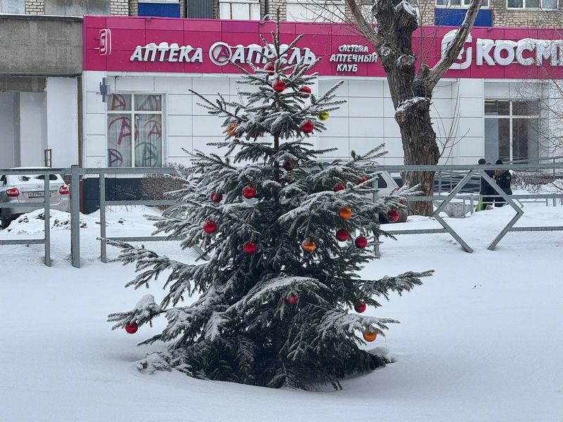 �� ����� � ������� �������� ��������� ��������� ���-������