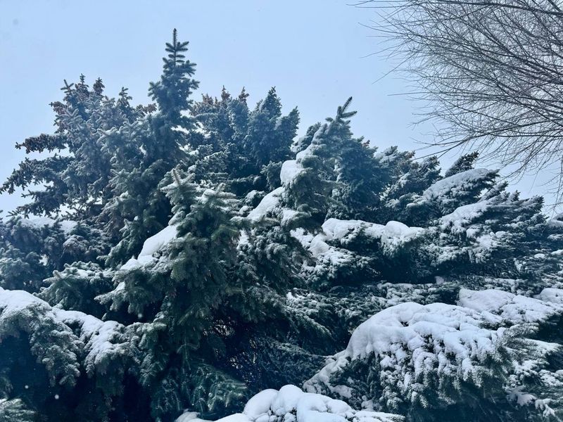 ������� �������� ��������� ����, �� � ����������� � ���� � ��������, � ������, � ������ ������