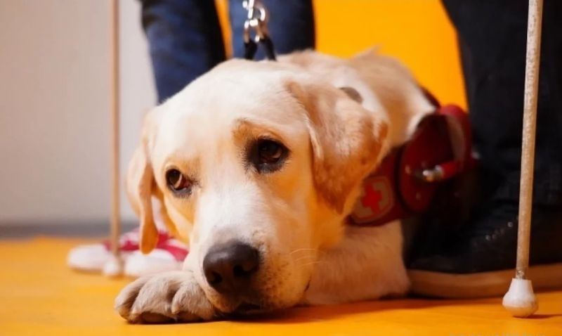 ��������� ��������� �� ��������� ������� �������� ������ �������-��������� � ������