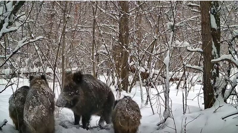 �������� ������� ��-�� ��� ����� �� �����