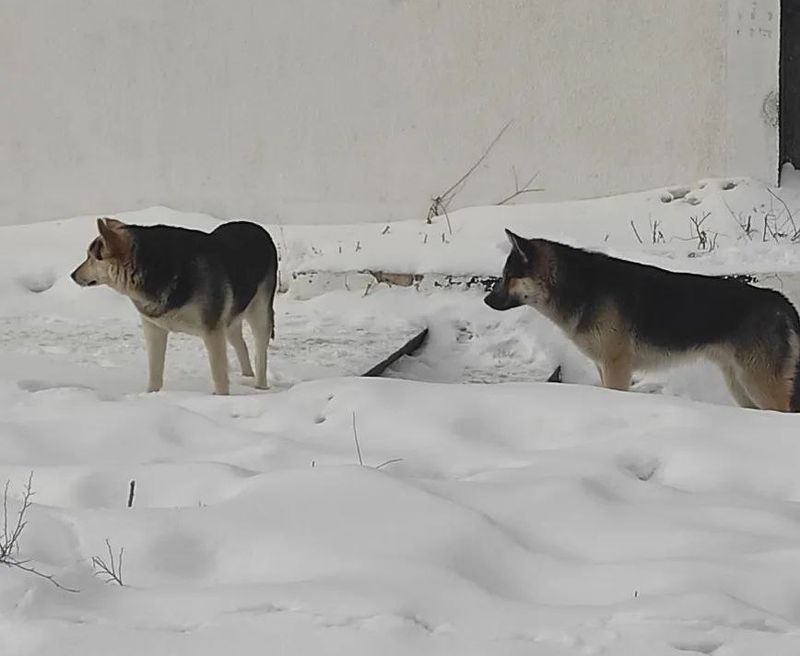 � ������� ���������� ��������� ���� ����� ��������� �� ��������� �����, �������� ������� � ���������-��������