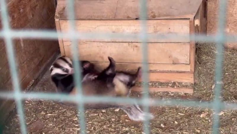 � ��������� ������� ����� ����� ����� �� ������ � ����� ����������� ����� �������