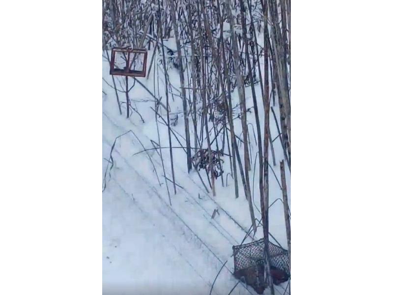 � ��������� ������� � �������� ������ ��������