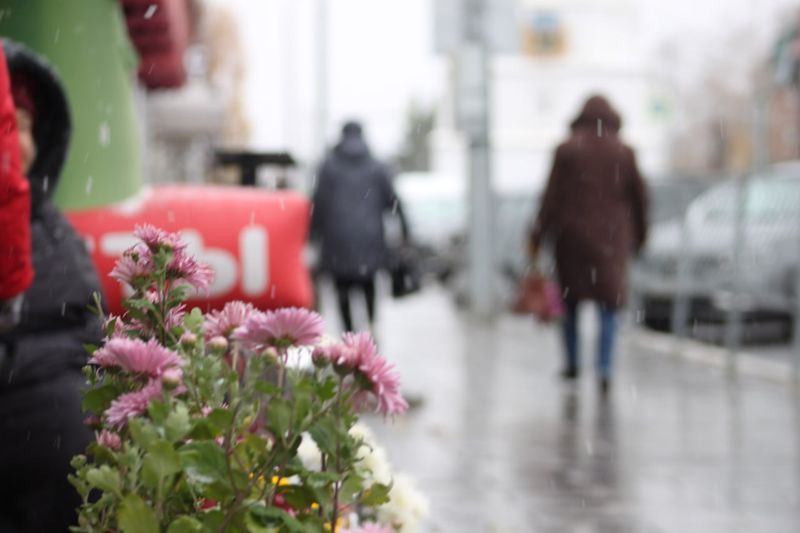 ����������� �������, ����� ����� ������ ���� �����