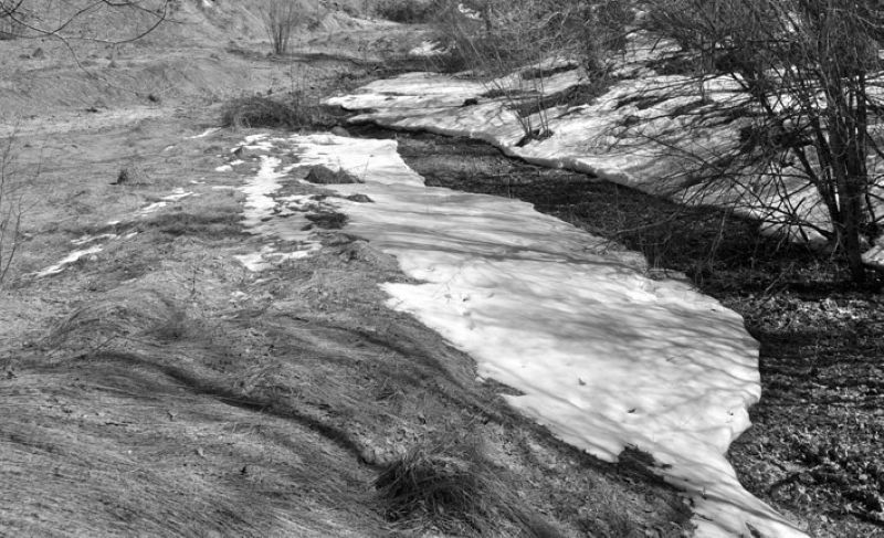 � ������� �� ��������������� ����� �������� ���� �������