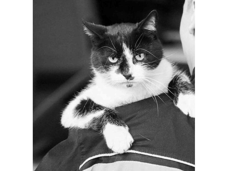 ����� ������� ��������� � ������ ���� ���������� ���������� - ��� ������ ����������