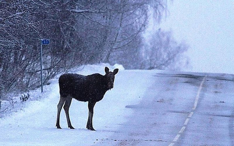 �������������� ������� ������������� �� ����� ����������, �� ������� ���