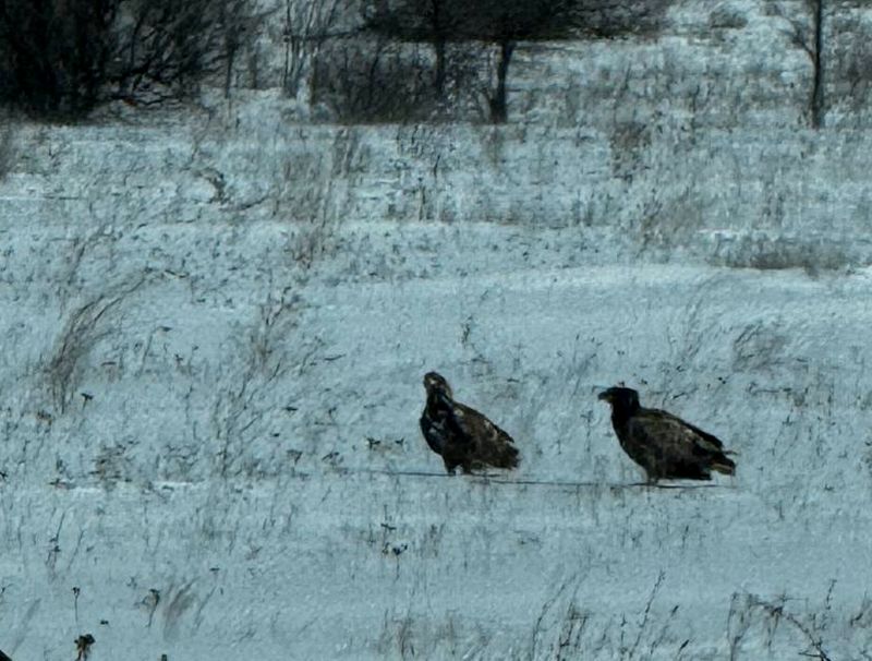 ��������� ��������� ��������-��������� ��������� ����� �� ���� ������ �����