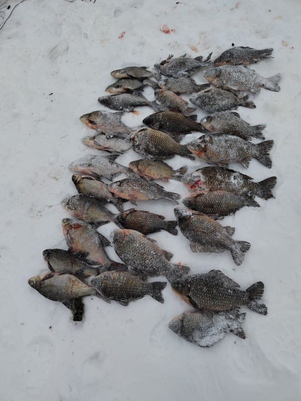 ����� �� ���� ������� ������, ���������, � �� ��� ��� ��: � ������� ������� ���������� � ����������