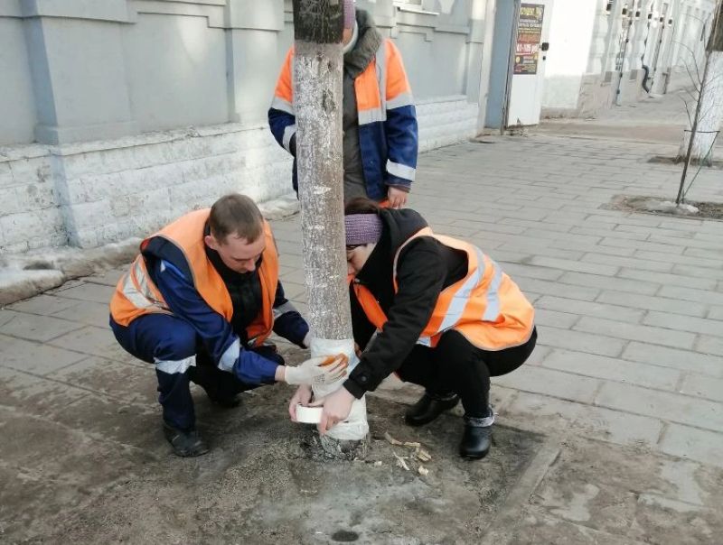 � ������� �������� ������ ������, ������� ����������� ��������� � �������